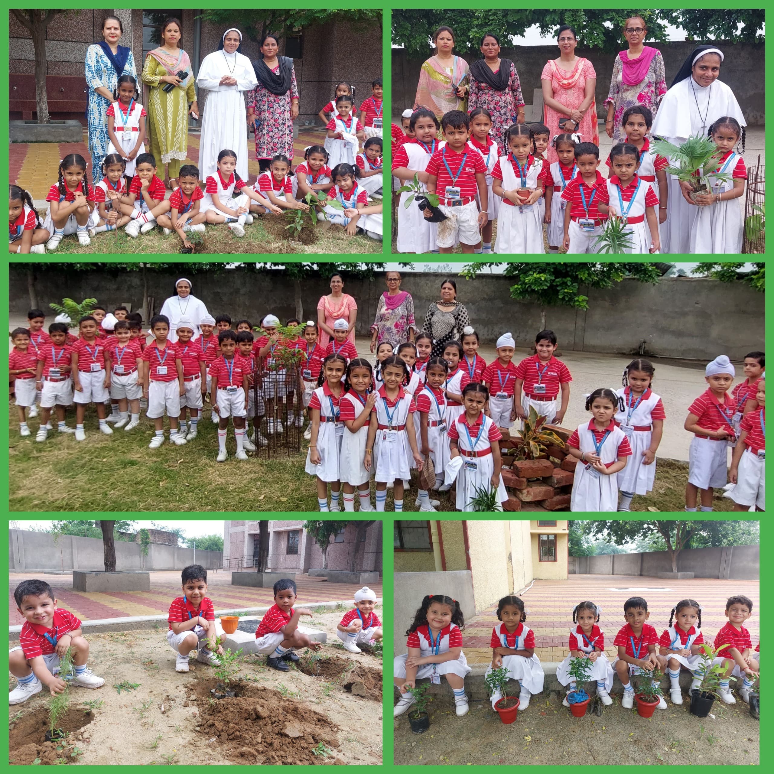 Environmental day celebration